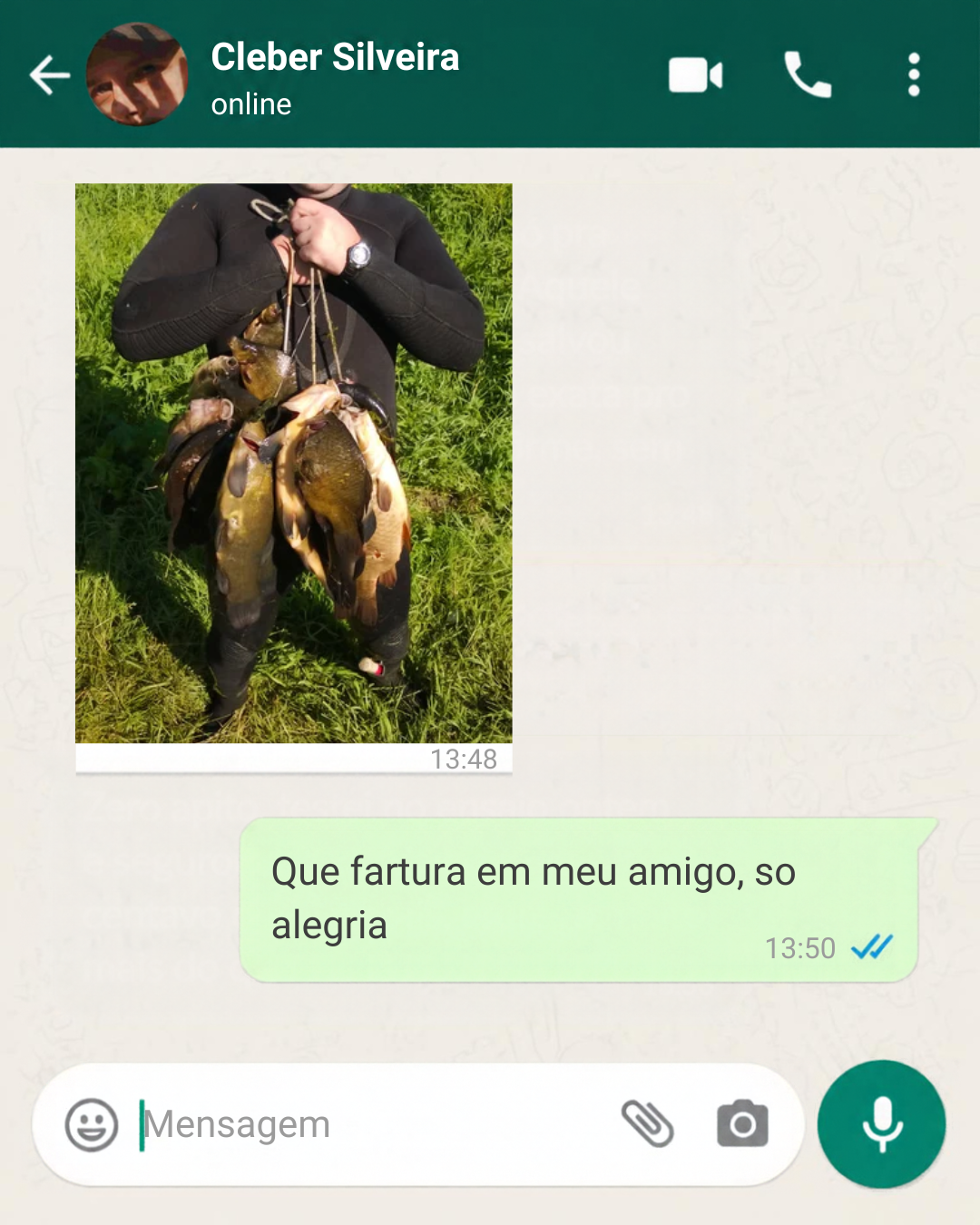 Feedback 3